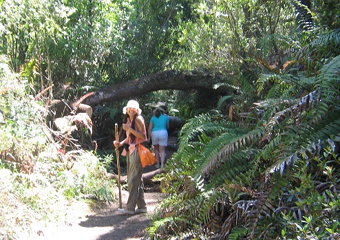 cascada